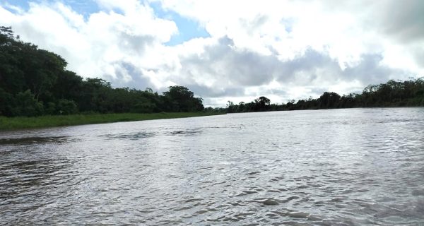 20260427Orinoco1
